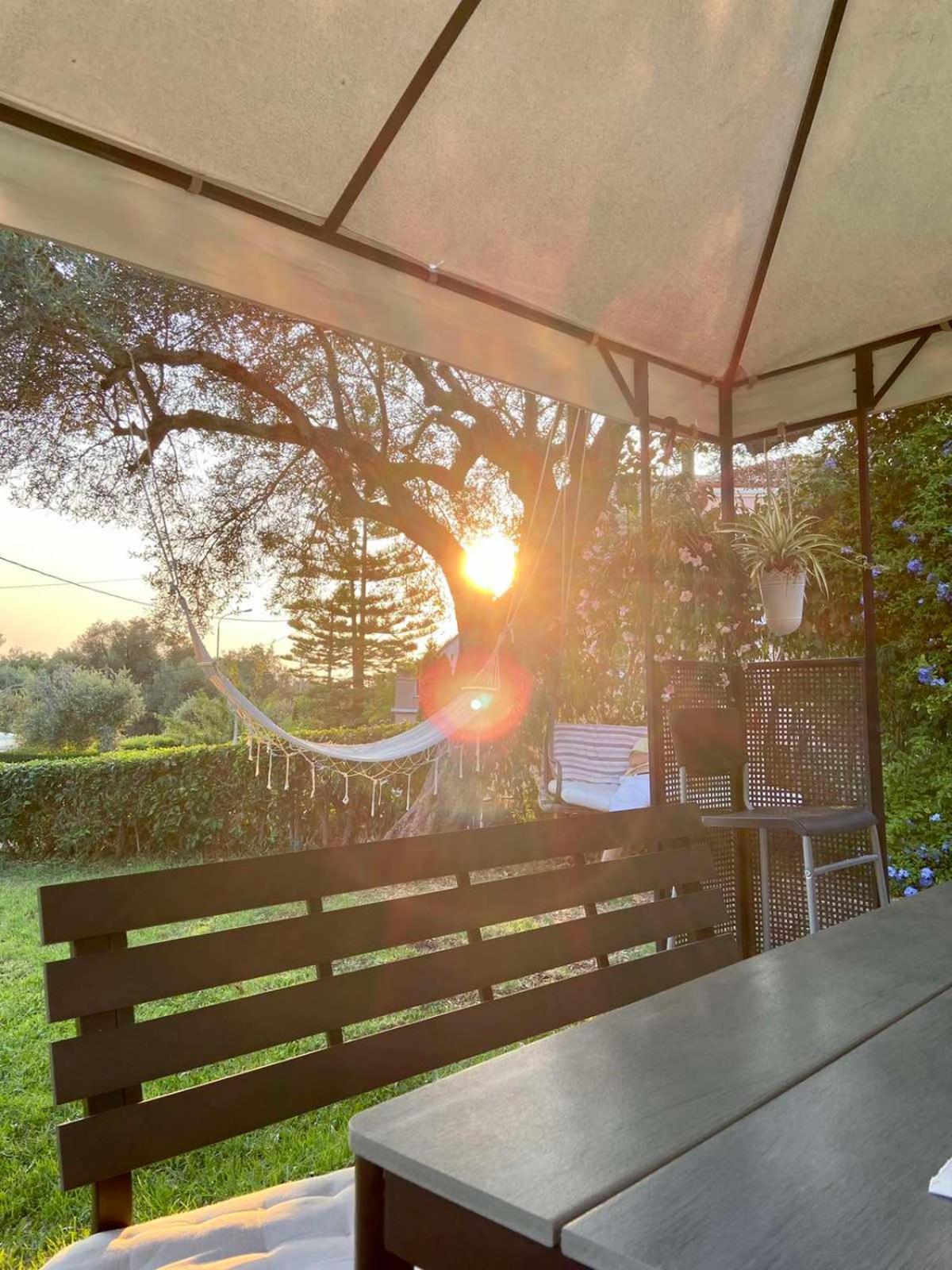 Sunny Garden Apartment Plataria Room photo