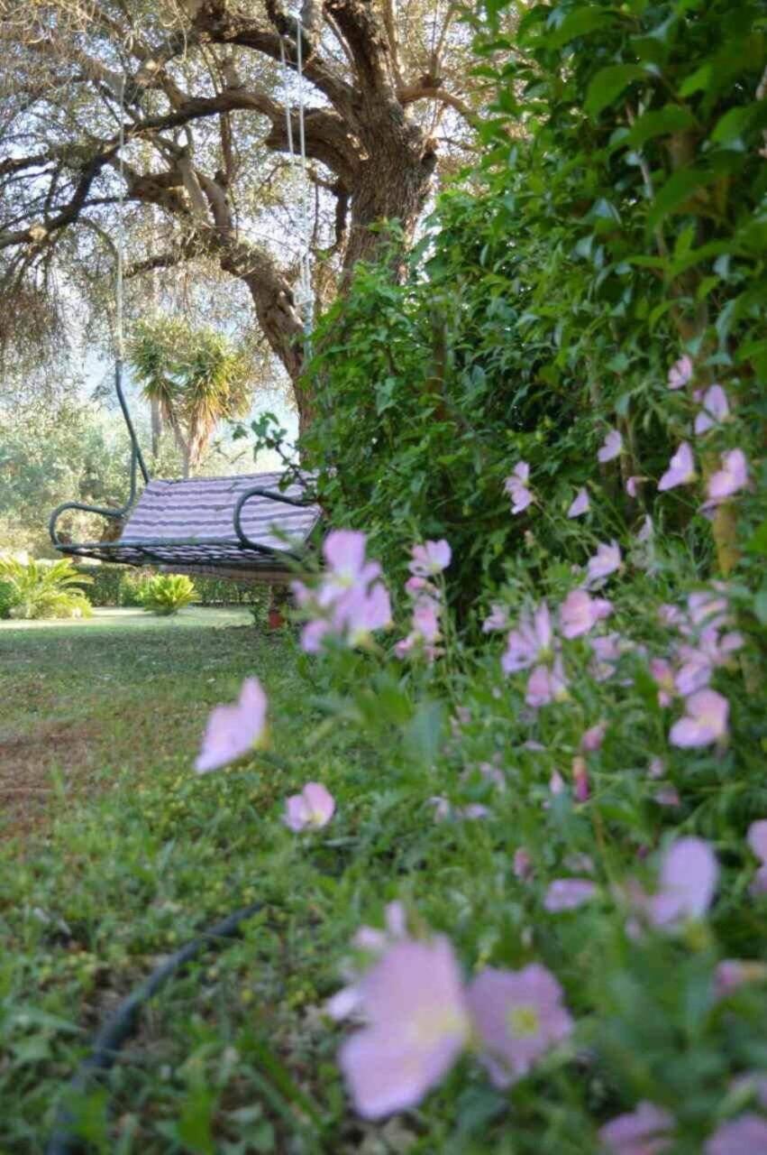 Sunny Garden Apartment Plataria Exterior photo