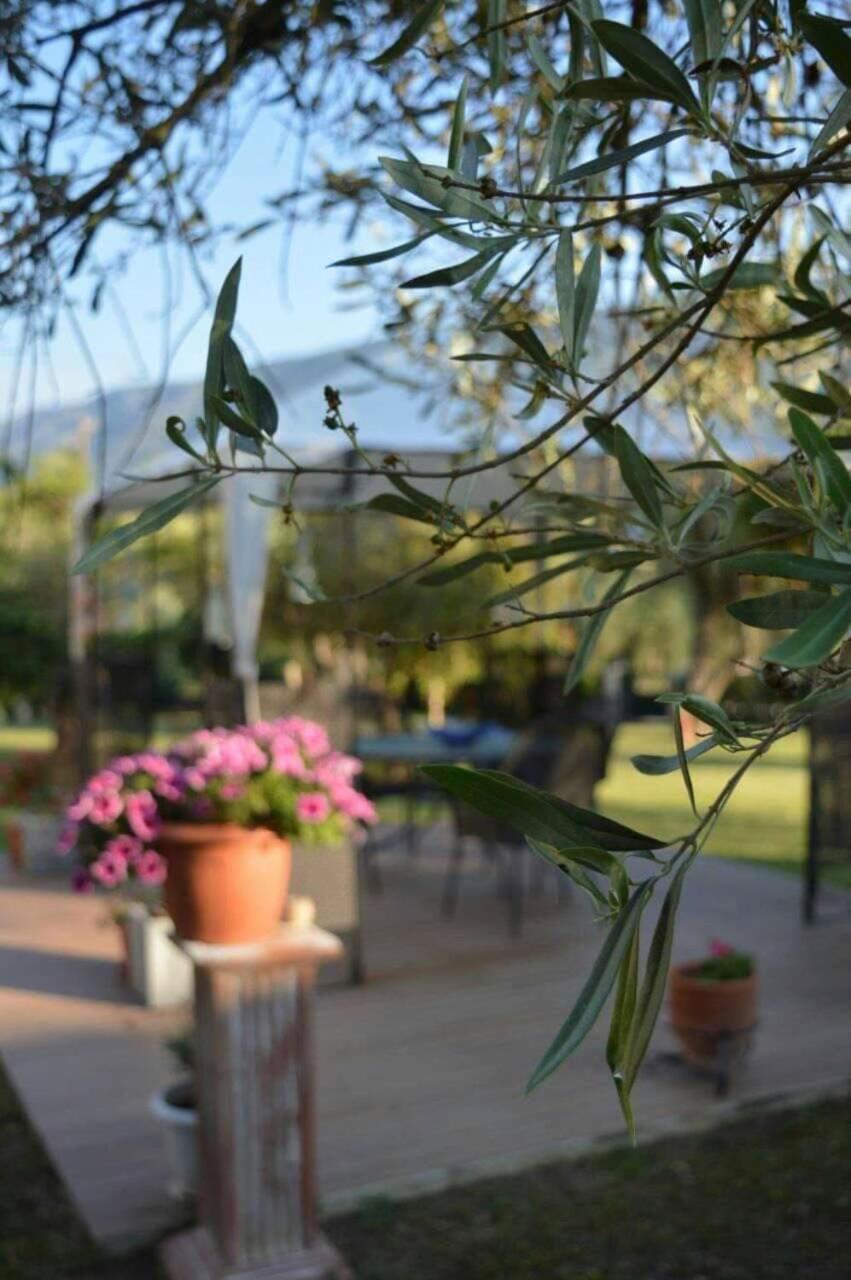Sunny Garden Apartment Plataria Exterior photo